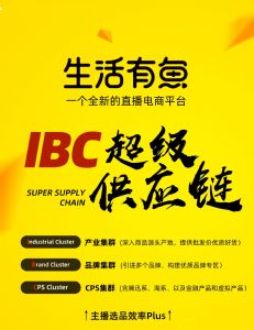 ��������ٷ���������ʲô������������ʲô��