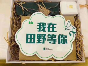 ������ľ��Ұ�������ʲô���������涼ʲô��