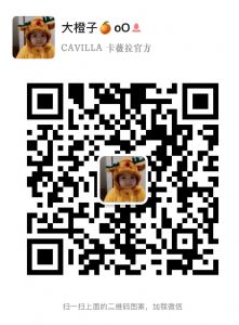 cavillaëҺǮάëҺɷֱ