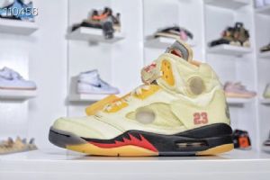 ƷǵԭЬǵAirJordan 5׷ٶԱ