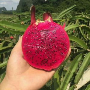 ˮ����Ӧ����԰���ػ���ֱ������ƽ̨��Դֱ����Դ΢�̻�Դ
