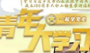 ѧϰʮĿʹ𰸴ȫ棩