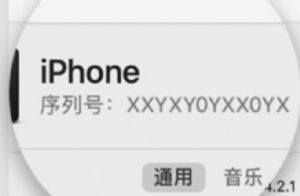 iPhone13怎么辨别真假？苹果13查验真伪技巧