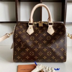 Lv SpeedyִСܹճ