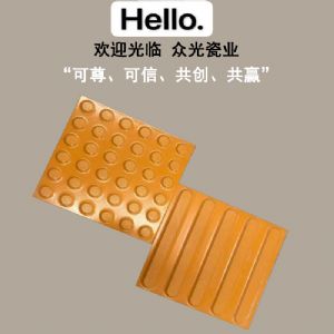 浙江街道绿化改造盲道砖-全瓷盲道砖货源