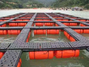 ˮ����ֳ����-��Ͳ400*800һ��