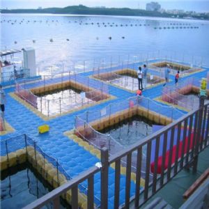 ˮ�ϸ����泡��ֳ��������