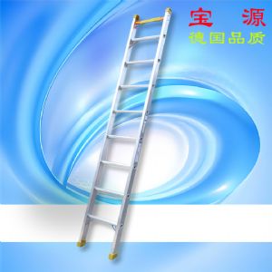 宝源 150公斤级铆接单梯直梯靠墙梯工程梯厂家供应梯子